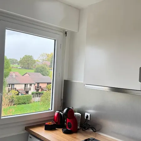 Cosy Aux Portes De Geneve شقة فيرني-فولتير، أين